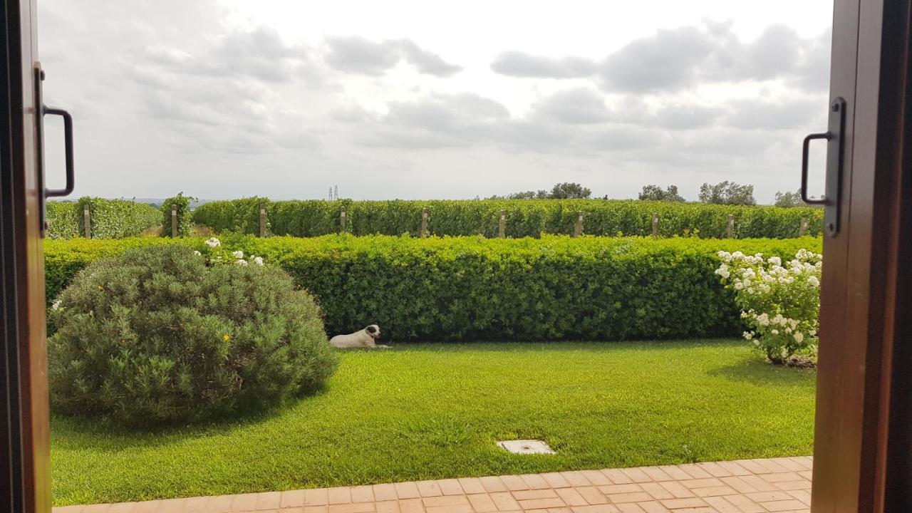 Il Casale Degli Ulivi - Agriturismo - Tenimenti Leone Lanuvio Exterior foto