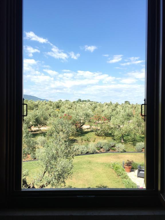 Il Casale Degli Ulivi - Agriturismo - Tenimenti Leone Lanuvio Exterior foto
