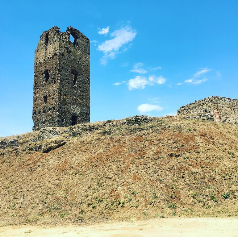 Il Casale Degli Ulivi - Agriturismo - Tenimenti Leone Lanuvio Exterior foto