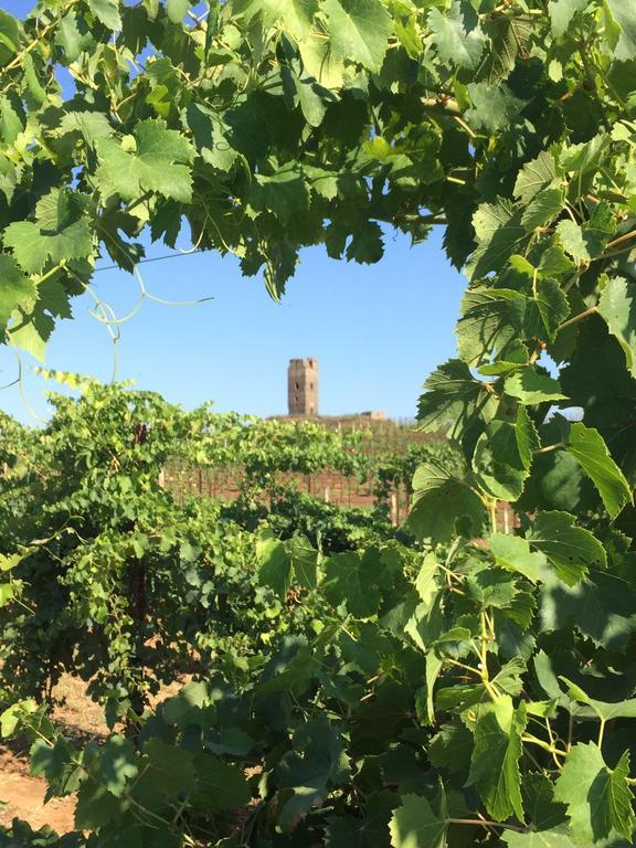 Il Casale Degli Ulivi - Agriturismo - Tenimenti Leone Lanuvio Exterior foto