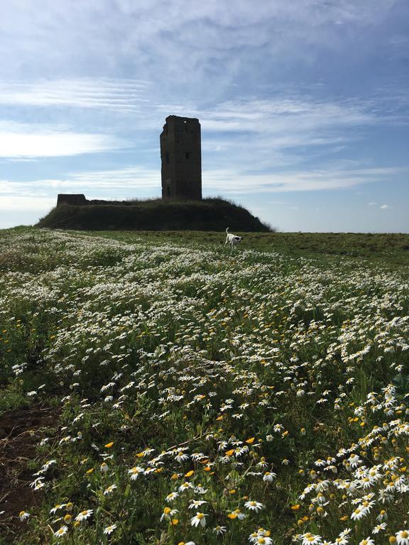 Il Casale Degli Ulivi - Agriturismo - Tenimenti Leone Lanuvio Exterior foto